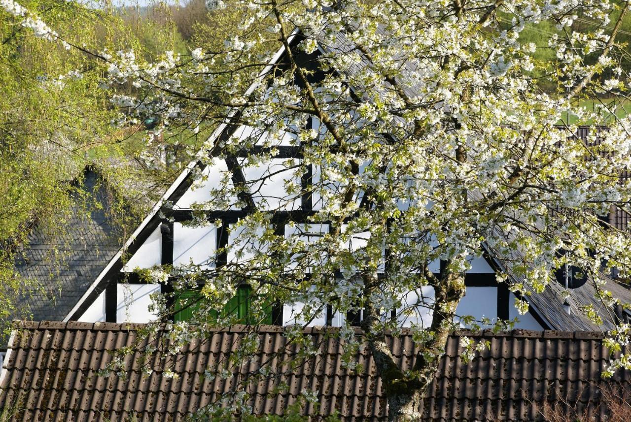 Gasthof Schumacher Hotel Garni Freudenberg  Eksteriør billede